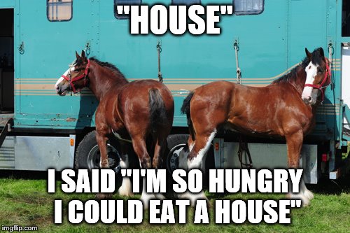 It was going to be a long journey home... | "HOUSE"; I SAID "I'M SO HUNGRY I COULD EAT A HOUSE" | image tagged in memes,horses,i'm so hungry i could eat a horse | made w/ Imgflip meme maker