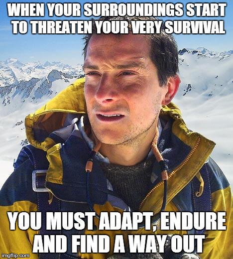 Bear Grylls Meme | WHEN YOUR SURROUNDINGS START TO THREATEN YOUR VERY SURVIVAL; YOU MUST ADAPT, ENDURE AND FIND A WAY OUT | image tagged in memes,bear grylls | made w/ Imgflip meme maker