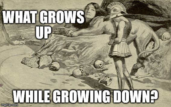 Riddles and Brainteasers | WHAT GROWS UP; WHILE GROWING DOWN? | image tagged in riddles and brainteasers | made w/ Imgflip meme maker