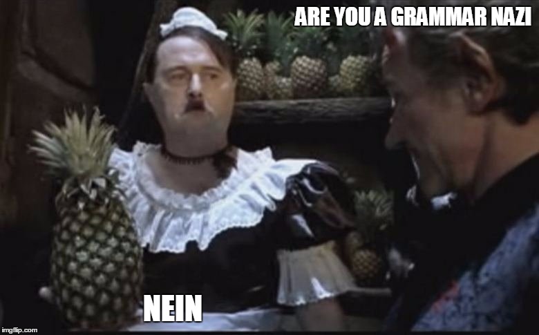 Hitler Pineapple | ARE YOU A GRAMMAR NAZI; NEIN | image tagged in hitler pineapple | made w/ Imgflip meme maker