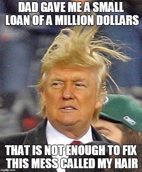 Donald Trumph hair | DAD GAVE ME A SMALL LOAN OF A MILLION DOLLARS; THAT IS NOT ENOUGH TO FIX THIS MESS CALLED MY HAIR | image tagged in donald trumph hair | made w/ Imgflip meme maker
