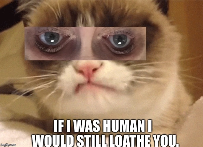 DISAPPROVING GRUMPY CAT |  IF I WAS HUMAN I  WOULD STILL LOATHE YOU. | image tagged in disapproving grumpy cat | made w/ Imgflip meme maker