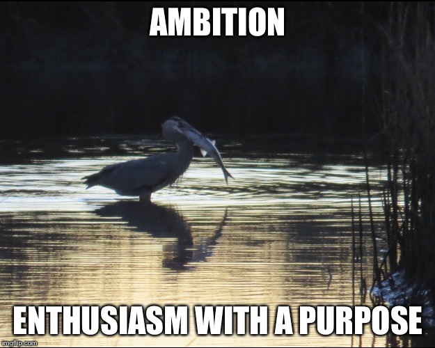 AMBITION; ENTHUSIASM WITH A PURPOSE | image tagged in ambition | made w/ Imgflip meme maker