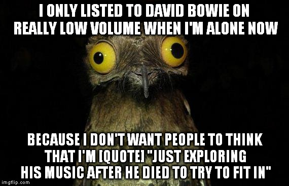 Bowie fan since '94. Now I'm not allowed to be. | I ONLY LISTED TO DAVID BOWIE ON REALLY LOW VOLUME WHEN I'M ALONE NOW; BECAUSE I DON'T WANT PEOPLE TO THINK THAT I'M [QUOTE] "JUST EXPLORING HIS MUSIC AFTER HE DIED TO TRY TO FIT IN" | image tagged in memes,weird stuff i do potoo,david bowie | made w/ Imgflip meme maker