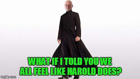 WHAT IF I TOLD YOU WE ALL FEEL LIKE HAROLD DOES? | made w/ Imgflip meme maker
