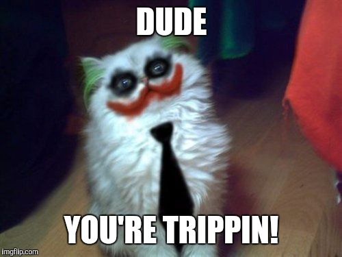 DUDE YOU'RE TRIPPIN! | made w/ Imgflip meme maker