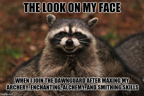 Plotting Raccoon | THE LOOK ON MY FACE; WHEN I JOIN THE DAWNGUARD AFTER MAXING MY ARCHERY, ENCHANTING, ALCHEMY, AND SMITHING SKILLS | image tagged in plotting raccoon | made w/ Imgflip meme maker