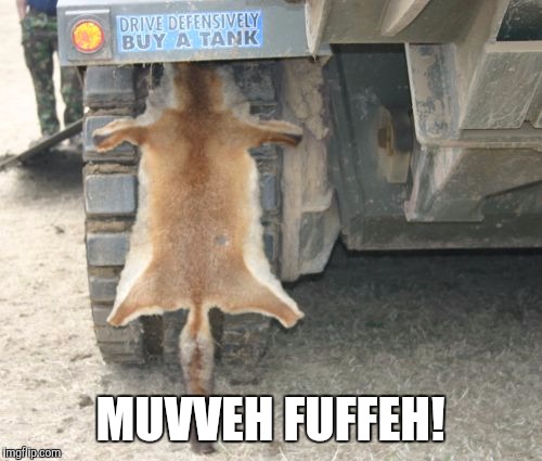 What does a fox say? | MUVVEH FUFFEH! | image tagged in memes,funny,road trip | made w/ Imgflip meme maker
