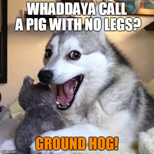 WHADDAYA CALL A PIG WITH NO LEGS? GROUND HOG! | made w/ Imgflip meme maker