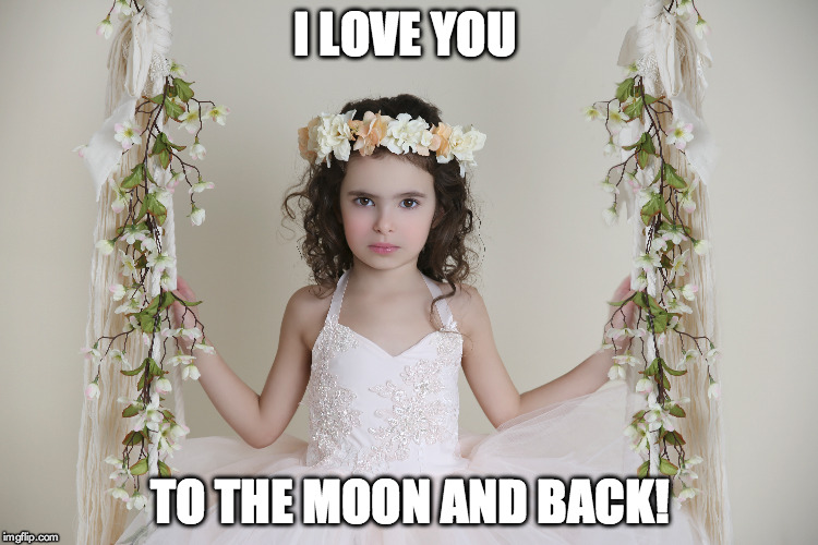 my valentine | I LOVE YOU; TO THE MOON AND BACK! | image tagged in love,valentine's day | made w/ Imgflip meme maker