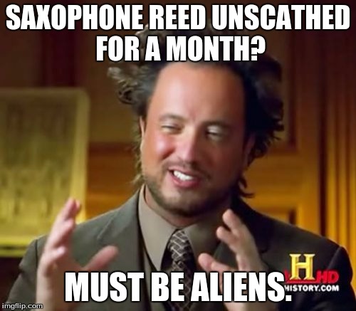 Ancient Aliens | SAXOPHONE REED UNSCATHED FOR A MONTH? MUST BE ALIENS. | image tagged in memes,ancient aliens | made w/ Imgflip meme maker