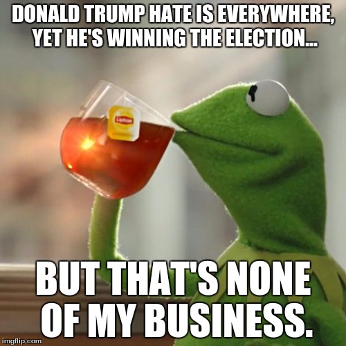 But That's None Of My Business | DONALD TRUMP HATE IS EVERYWHERE, YET HE'S WINNING THE ELECTION... BUT THAT'S NONE OF MY BUSINESS. | image tagged in memes,but thats none of my business,kermit the frog | made w/ Imgflip meme maker