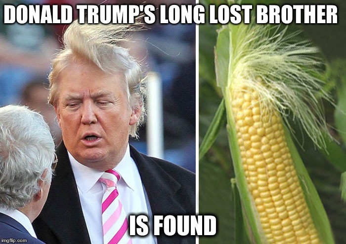 Donald Trump | DONALD TRUMP'S LONG LOST BROTHER; IS FOUND | image tagged in donald trump | made w/ Imgflip meme maker
