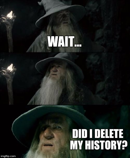 Confused Gandalf Meme | WAIT... DID I DELETE MY HISTORY? | image tagged in memes,confused gandalf | made w/ Imgflip meme maker