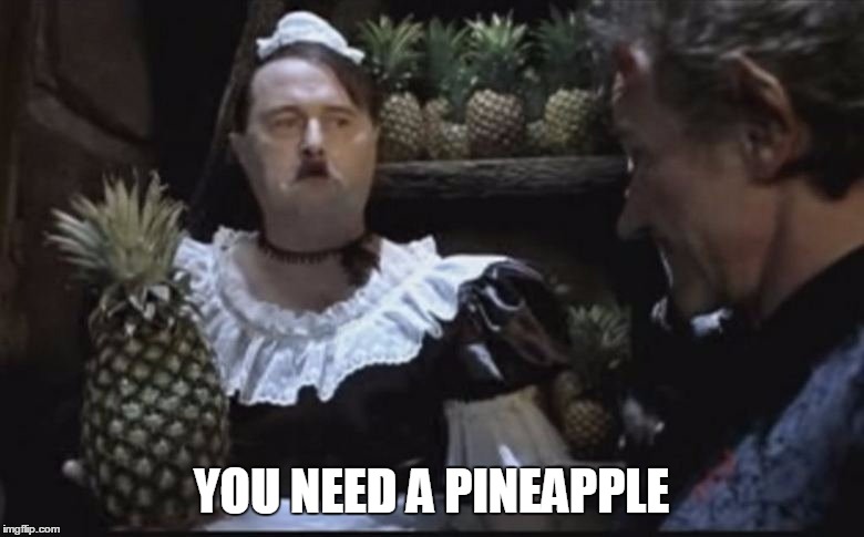 Hitler Pineapple | YOU NEED A PINEAPPLE | image tagged in hitler pineapple | made w/ Imgflip meme maker