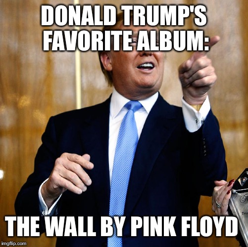 Donald Trump | DONALD TRUMP'S FAVORITE ALBUM:; THE WALL BY PINK FLOYD | image tagged in donald trump | made w/ Imgflip meme maker