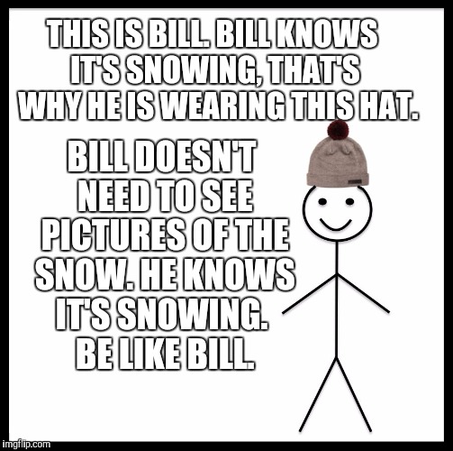Be Like Bill Meme | THIS IS BILL.
BILL KNOWS IT'S SNOWING, THAT'S  WHY HE IS WEARING THIS HAT. BILL DOESN'T NEED TO SEE PICTURES OF THE SNOW.
HE KNOWS IT'S SNOWING.
 BE LIKE BILL. | image tagged in memes,be like bill | made w/ Imgflip meme maker