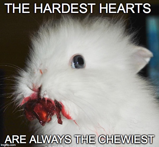 Want a bite? | THE HARDEST HEARTS; ARE ALWAYS THE CHEWIEST | image tagged in rabbit,blood,chewing heart,heart | made w/ Imgflip meme maker