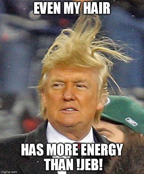 trump | EVEN MY HAIR; HAS MORE ENERGY THAN !JEB! | image tagged in donald trumph hair | made w/ Imgflip meme maker