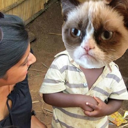 Third World Grumpy Cat Blank Meme Template