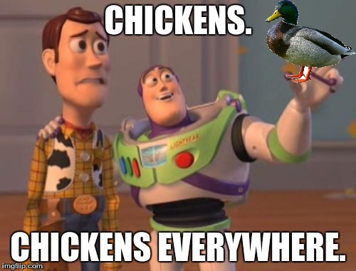 X, X Everywhere Meme | CHICKENS. CHICKENS EVERYWHERE. | image tagged in memes,x x everywhere | made w/ Imgflip meme maker