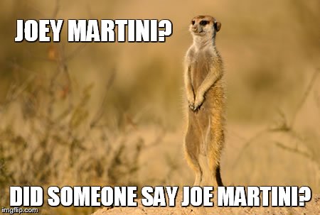 JOEY MARTINI? DID SOMEONE SAY JOE MARTINI? | image tagged in joey martini | made w/ Imgflip meme maker