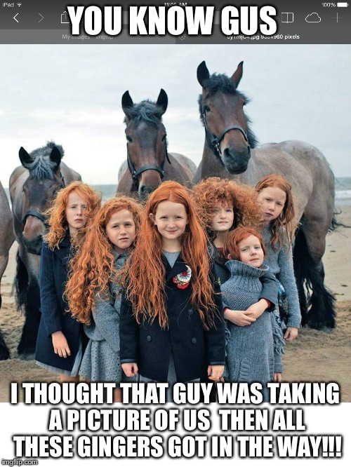 Photo bombed | YOU KNOW GUS; I THOUGHT THAT GUY WAS TAKING A PICTURE OF US  THEN ALL THESE GINGERS GOT IN THE WAY!!! | image tagged in irish | made w/ Imgflip meme maker