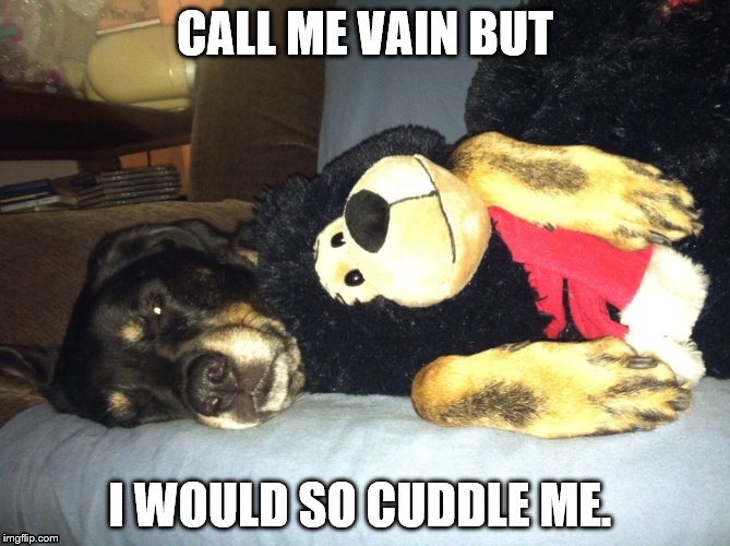 Black Bear | CALL ME VAIN BUT; I WOULD SO CUDDLE ME. | image tagged in bear,dog,cute dog,cuddle,snuggle,sleepy dog | made w/ Imgflip meme maker