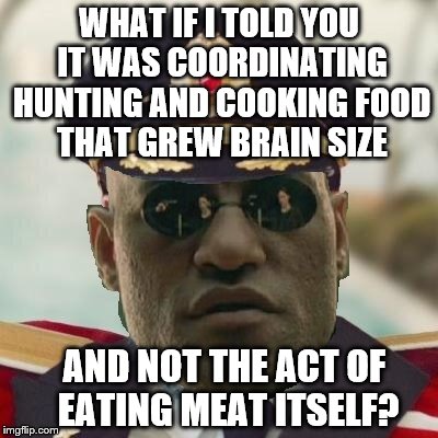 Obvious Morpheus | WHAT IF I TOLD YOU IT WAS COORDINATING HUNTING AND COOKING FOOD THAT GREW BRAIN SIZE AND NOT THE ACT OF EATING MEAT ITSELF? | image tagged in obvious morpheus | made w/ Imgflip meme maker