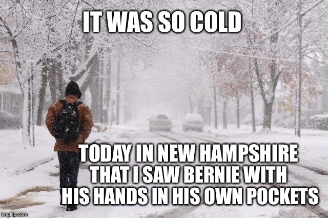 IT WAS SO COLD; TODAY IN NEW HAMPSHIRE; THAT I SAW BERNIE WITH HIS HANDS IN HIS OWN POCKETS | image tagged in snow | made w/ Imgflip meme maker