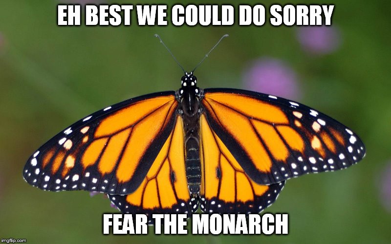 EH BEST WE COULD DO SORRY; FEAR THE MONARCH | made w/ Imgflip meme maker