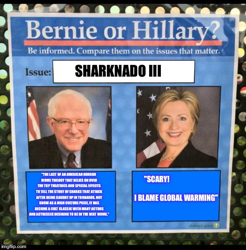 Bernie or Hillary? | SHARKNADO III; "THE LAST OF AN AMERICAN HORROR MOVIE TRILOGY THAT RELIES ON OVER THE TOP THEATRICS AND SPECIAL EFFECTS TO TELL THE STORY OF SHARKS THAT ATTACK AFTER BEING CAUGHT UP IN TORNADOS. NOT KNOW AS A HIGH CULTURE PIECE, IT HAS BECOME A CULT CLASSIC WITH MANY ACTORS AND ACTRESSES DESIRING TO BE IN THE NEXT MOVIE."; "SCARY!                                                         I BLAME GLOBAL WARMING" | image tagged in bernie or hillary | made w/ Imgflip meme maker