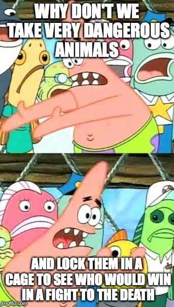 Put It Somewhere Else Patrick | WHY DON'T WE TAKE VERY DANGEROUS ANIMALS; AND LOCK THEM IN A CAGE TO SEE WHO WOULD WIN IN A FIGHT TO THE DEATH | image tagged in memes,put it somewhere else patrick | made w/ Imgflip meme maker