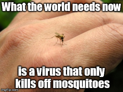 Shoot The Messenger | What the world needs now; is a virus that only kills off mosquitoes | image tagged in mosquito,virus | made w/ Imgflip meme maker