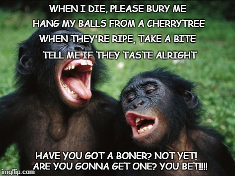 cherry tree | WHEN I DIE, PLEASE BURY ME; HANG MY BALLS FROM A CHERRYTREE; WHEN THEY'RE RIPE, TAKE A BITE; TELL ME IF THEY TASTE ALRIGHT; HAVE YOU GOT A BONER?
NOT YET!
  ARE YOU GONNA GET ONE?
YOU BET!!!! | image tagged in memes | made w/ Imgflip meme maker