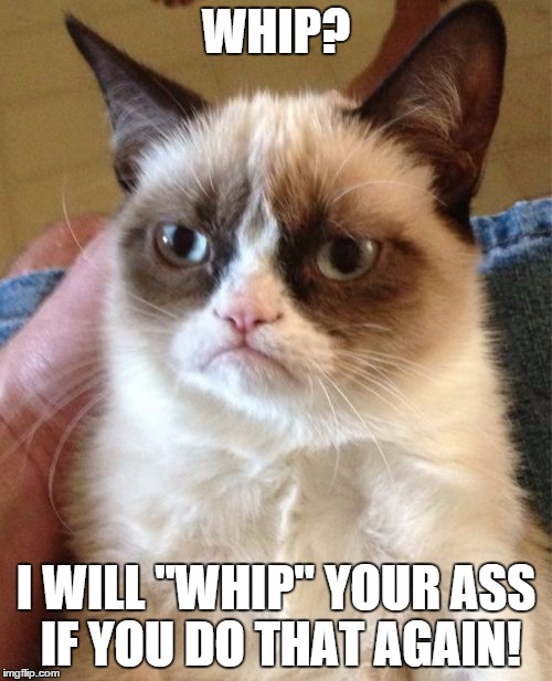 Grumpy Cat Meme | WHIP? I WILL "WHIP" YOUR ASS IF YOU DO THAT AGAIN! | image tagged in memes,grumpy cat | made w/ Imgflip meme maker