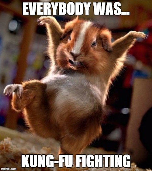 Those dudes were fast as lightning! | EVERYBODY WAS... KUNG-FU FIGHTING | image tagged in kung fu | made w/ Imgflip meme maker