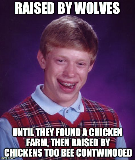 Bad Luck Brian | RAISED BY WOLVES; UNTIL THEY FOUND A CHICKEN FARM, THEN RAISED BY CHICKENS TOO BEE CONTWINOOED | image tagged in memes,bad luck brian | made w/ Imgflip meme maker
