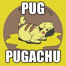 PUG; PUGACHU | image tagged in pugachu | made w/ Imgflip meme maker