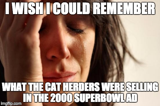 First World Problems Meme | I WISH I COULD REMEMBER; WHAT THE CAT HERDERS WERE SELLING IN THE 2000 SUPERBOWL AD | image tagged in memes,first world problems | made w/ Imgflip meme maker