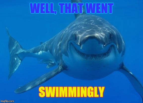Smiling Shark | WELL, THAT WENT; SWIMMINGLY | image tagged in smiling shark | made w/ Imgflip meme maker