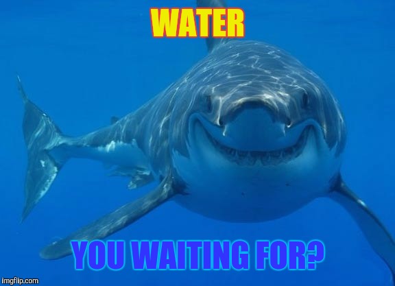Smiling Shark | WATER; YOU WAITING FOR? | image tagged in smiling shark | made w/ Imgflip meme maker