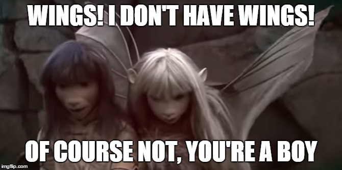 WINGS! I DON'T HAVE WINGS! OF COURSE NOT, YOU'RE A BOY | image tagged in the dark crystal | made w/ Imgflip meme maker
