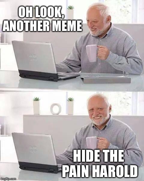 There are so many it is getting annoying | OH LOOK, ANOTHER MEME; HIDE THE PAIN HAROLD | image tagged in memes,hide the pain harold | made w/ Imgflip meme maker