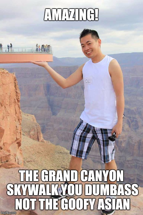 AMAZING! THE GRAND CANYON SKYWALK YOU DUMBASS NOT THE GOOFY ASIAN | image tagged in grand canyon sky wall,funny memes,goofy,asian | made w/ Imgflip meme maker