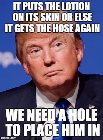 What to do with the Donald | IT PUTS THE LOTION ON ITS SKIN OR ELSE IT GETS THE HOSE AGAIN; WE NEED A HOLE TO PLACE HIM IN | image tagged in politicians,donald trump,silence of the lambs | made w/ Imgflip meme maker