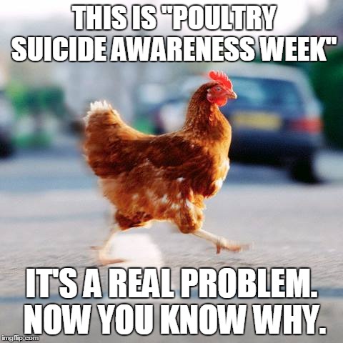 Prevent Poultry Suicide. | THIS IS "POULTRY SUICIDE AWARENESS WEEK"; IT'S A REAL PROBLEM. NOW YOU KNOW WHY. | image tagged in fast cars,liberals,democrats,republicans,chicken,awareness | made w/ Imgflip meme maker