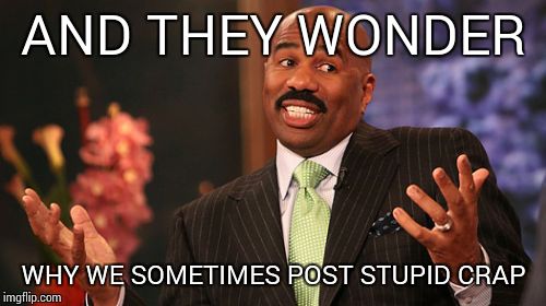 AND THEY WONDER WHY WE SOMETIMES POST STUPID CRAP | image tagged in memes,steve harvey | made w/ Imgflip meme maker