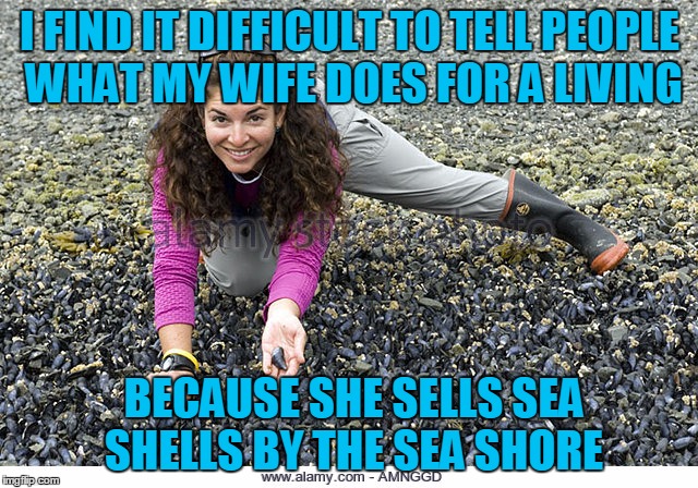 I FIND IT DIFFICULT TO TELL PEOPLE WHAT MY WIFE DOES FOR A LIVING; BECAUSE SHE SELLS SEA SHELLS BY THE SEA SHORE | image tagged in she shells she shells | made w/ Imgflip meme maker