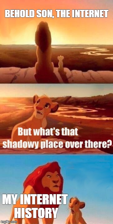 Repost from somewhere. probably this site. | BEHOLD SON, THE INTERNET; MY INTERNET HISTORY | image tagged in memes,simba shadowy place,internet,porn,fap | made w/ Imgflip meme maker